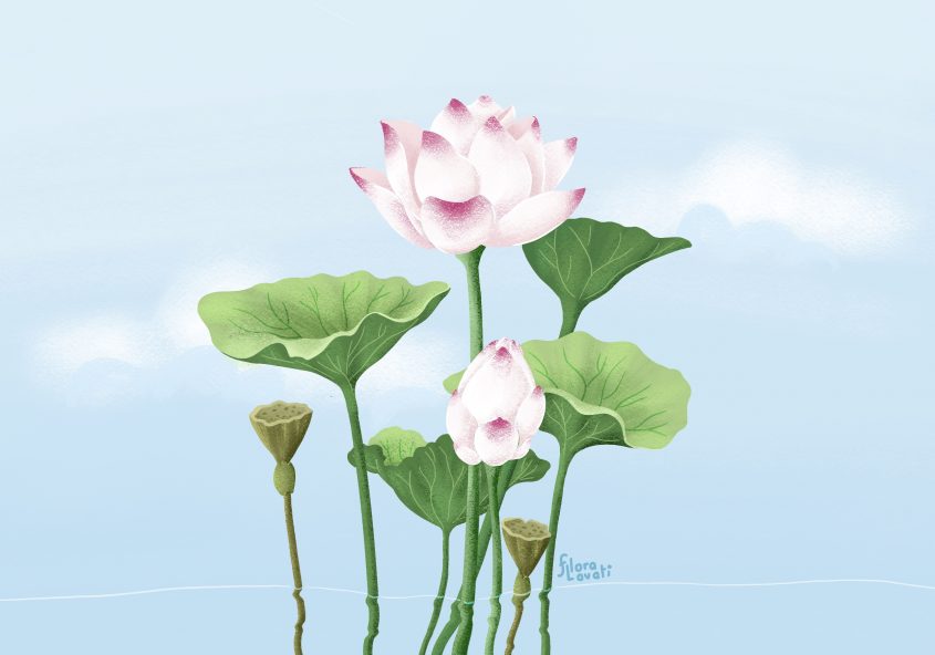 Mindfulness_o_consapevolezza